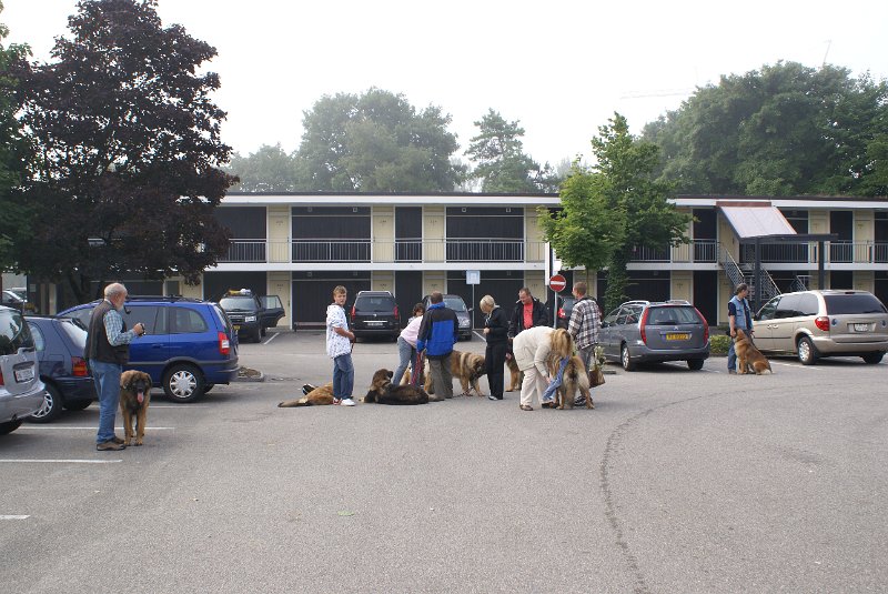 Nachzuchttreffen 08_08 013.jpg - Treffen auf dem Parkplatz
